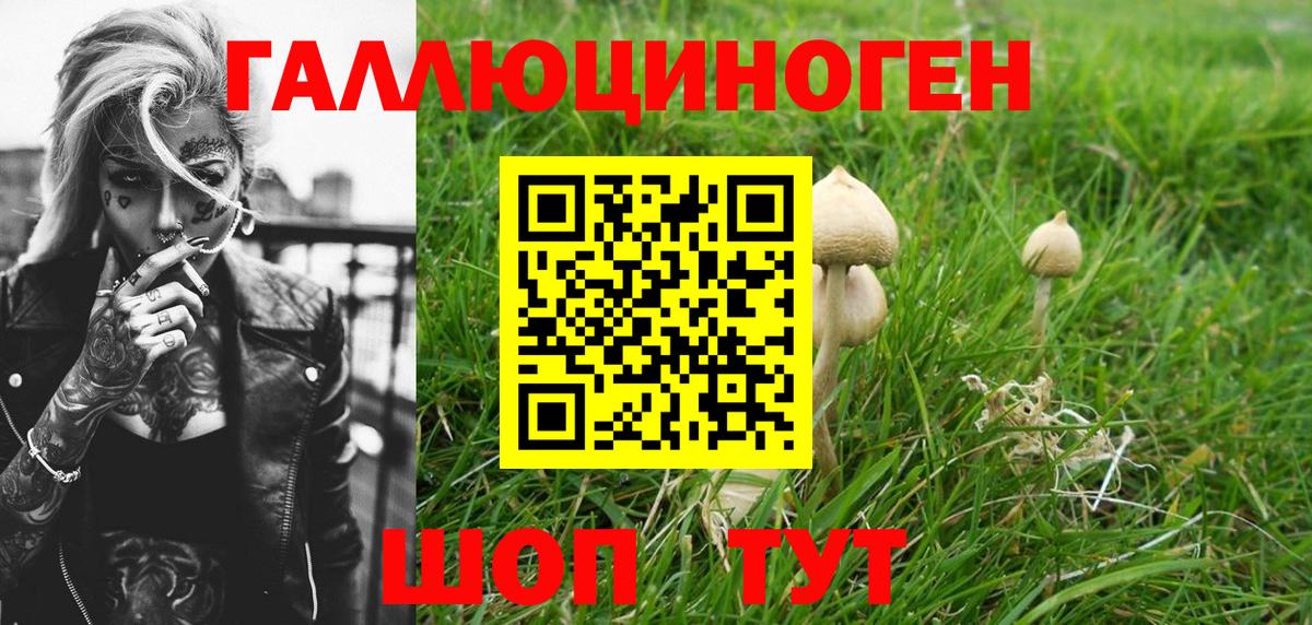 Галлюциногенные грибы Cubensis  Вход с VPN  Псилоцибиновые грибы Cubensis  Фурманов 