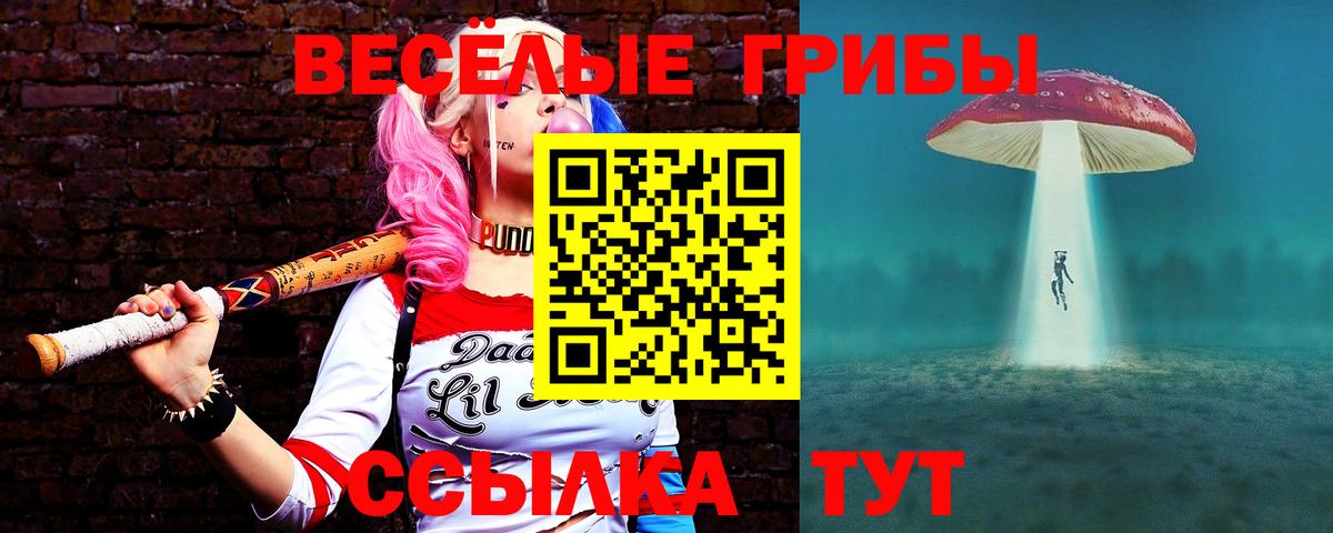 Галлюциногенные грибы Cubensis Фурманов